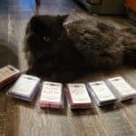 20220924 1659051 150x150