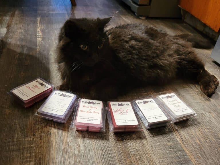 20220924 1659051 768x576